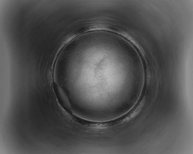 X0000093401145200710121054