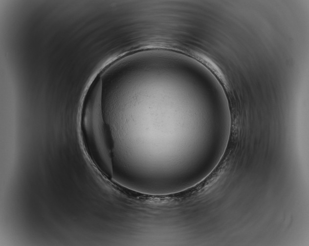 X0000093401146200710121054