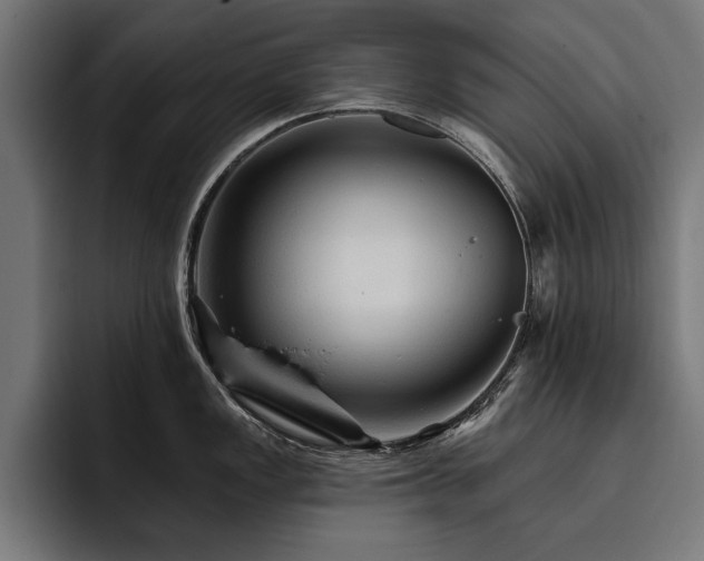 X0000093401149200710121054