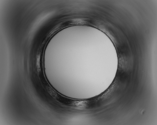 X0000093401150200710121054