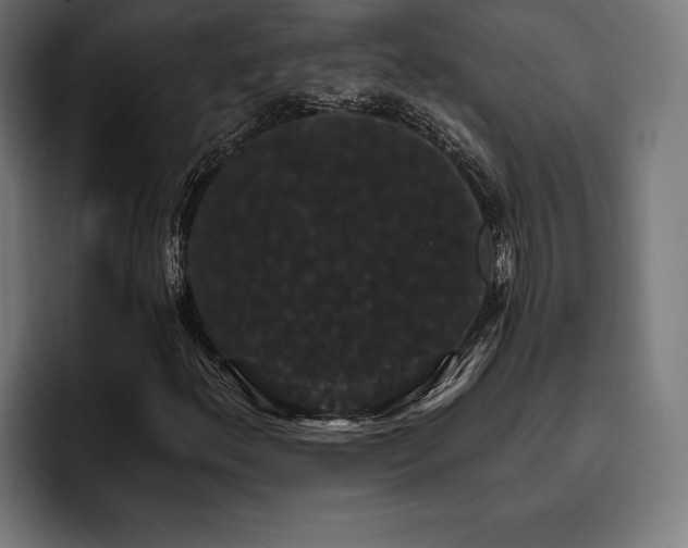 X0000093401156200710121053