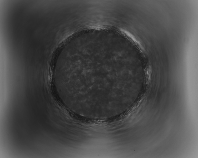 X0000093401158200710121053