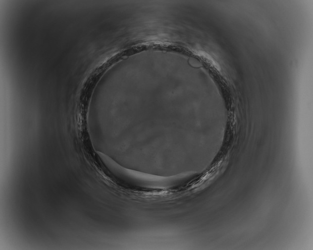 X0000093401159200710121053