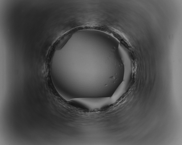 X0000093401160200710121053