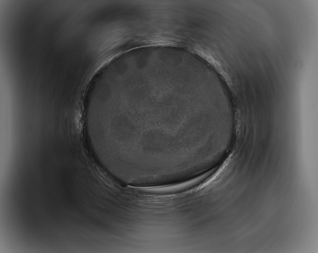 X0000093401163200710121053