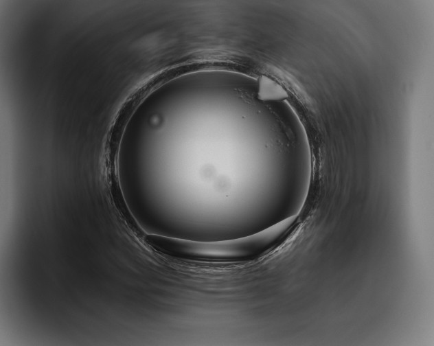 X0000093401164200710121053
