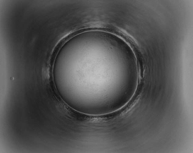 X0000093401166200710121053