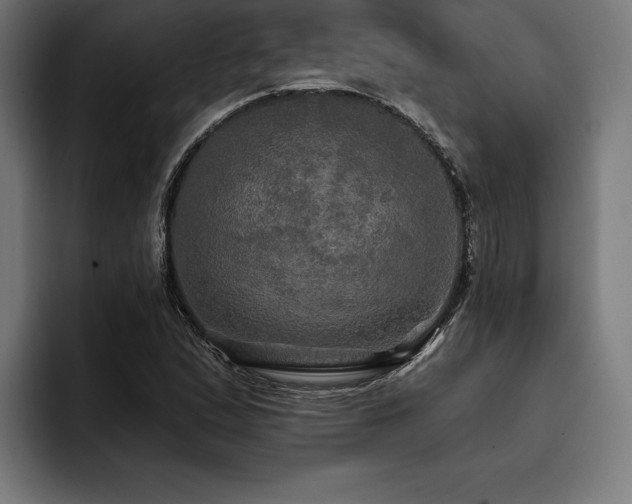 X0000093401167200710121053