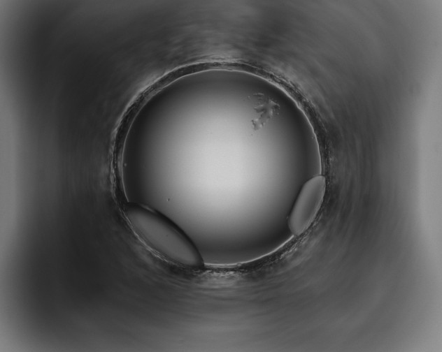 X0000093401168200710121053