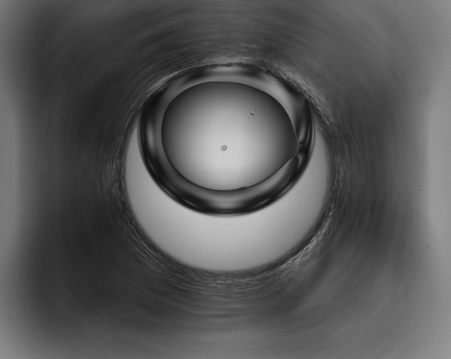 X0000093401169200710121053