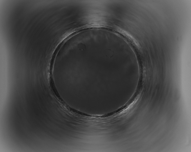 X0000093401170200710121053