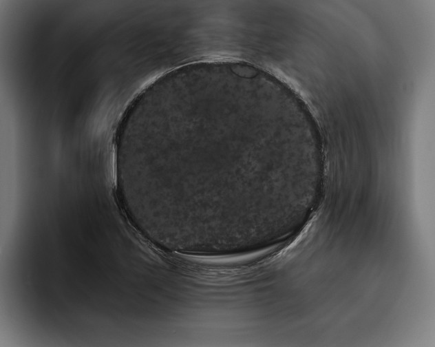 X0000093401171200710121053