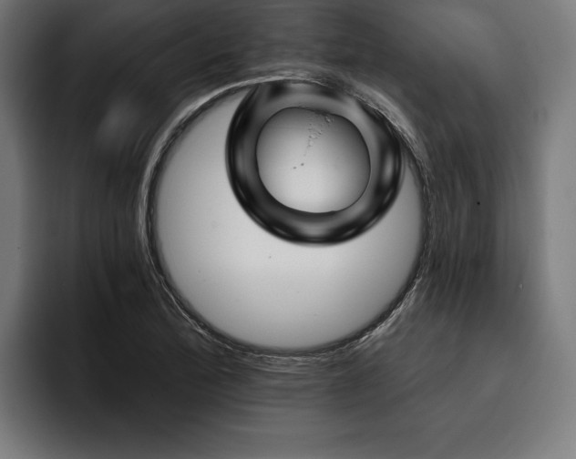 X0000093401172200710121053