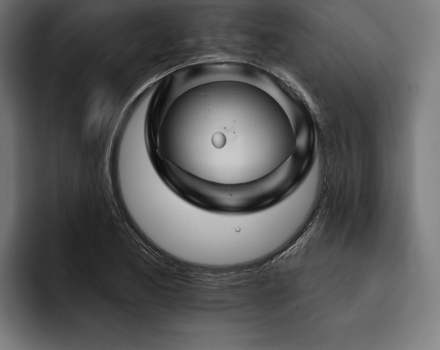 X0000093401173200710121053
