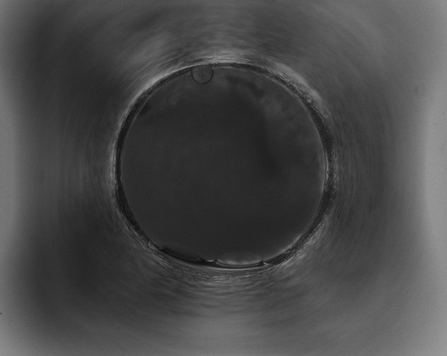 X0000093401174200710121053