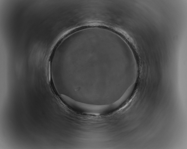 X0000093401175200710121053