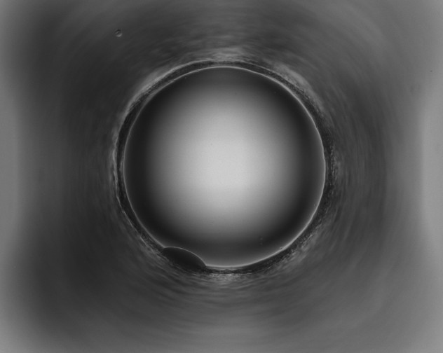 X0000093401176200710121053