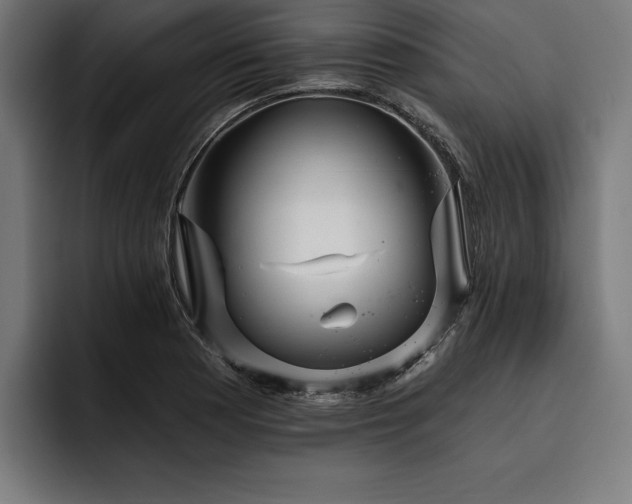 X0000093401177200710121053