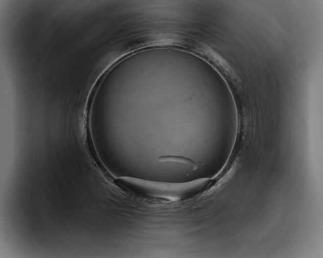 X0000093401178200710121053