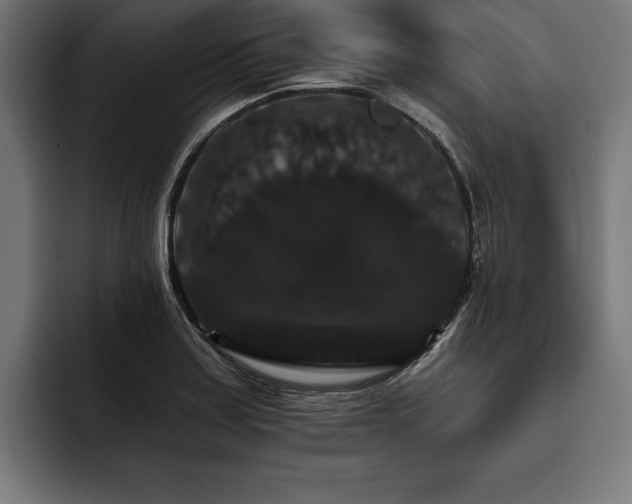X0000093401179200710121053