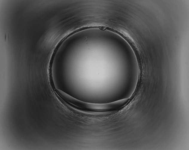 X0000093401181200710121053