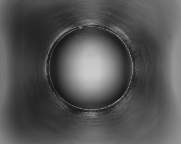 X0000093401182200710121053
