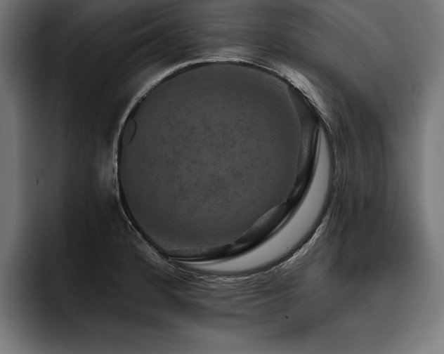 X0000093401184200710121053