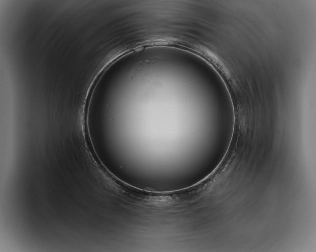 X0000093401186200710121053