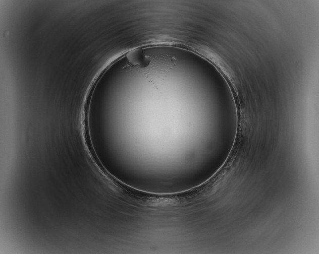 X0000093401187200710121053