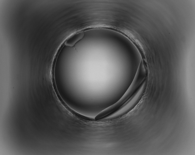 X0000093401189200710121053