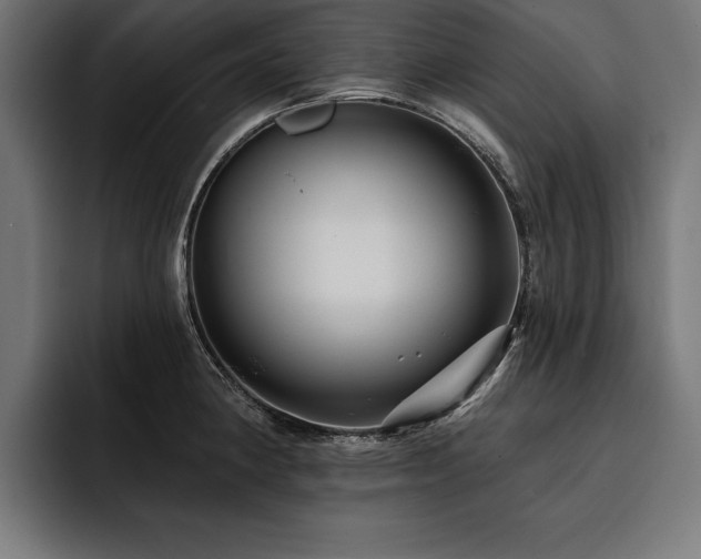 X0000093401190200710121053