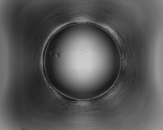 X0000093401191200710121053