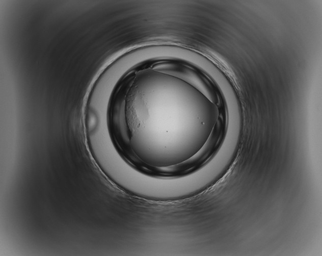X0000093401192200710121053