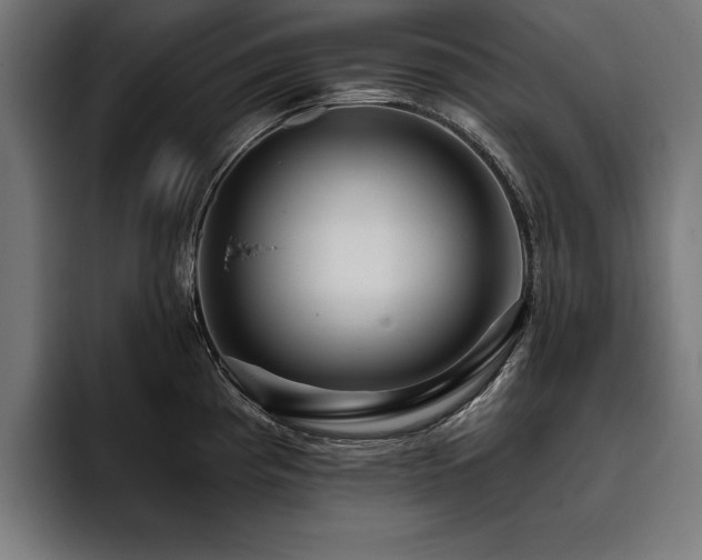 X0000093401193200710121053