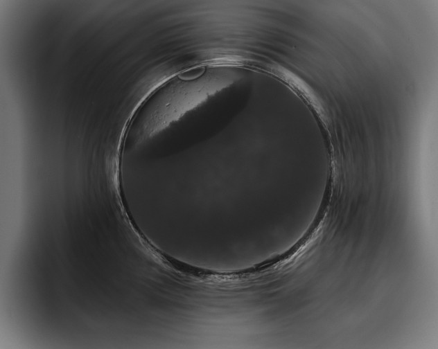 X0000093401194200710121053