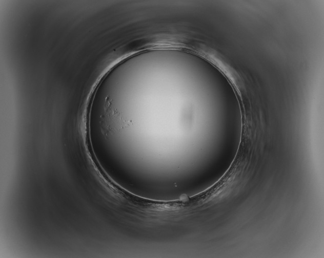 X0000093401195200710121053