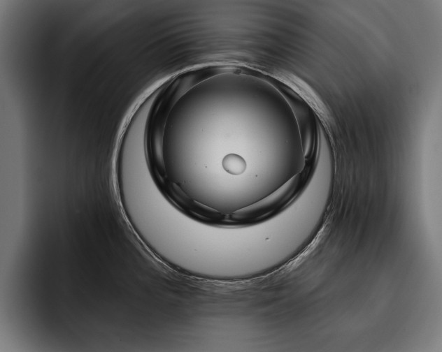 X0000093401196200710121053