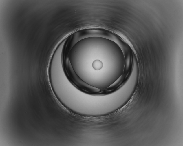 X0000093401197200710121053