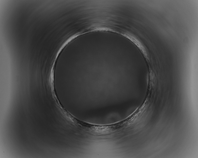 X0000093401198200710121053