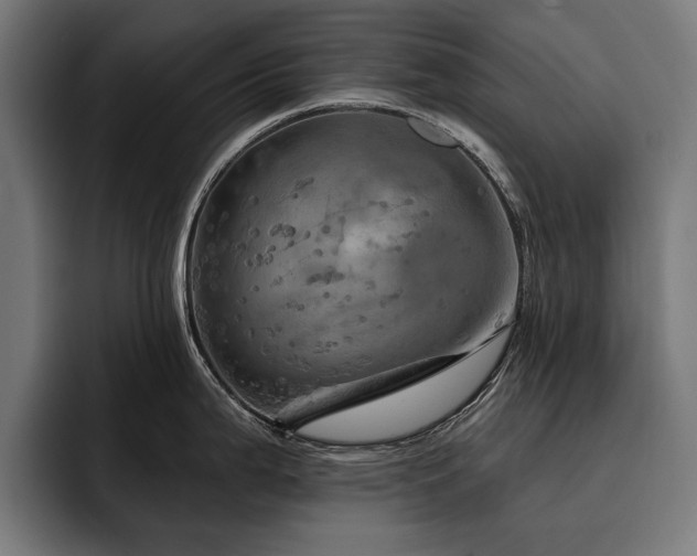 X0000093401199200710121053
