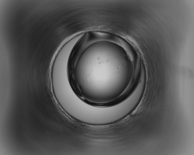 X0000093401200200710121053