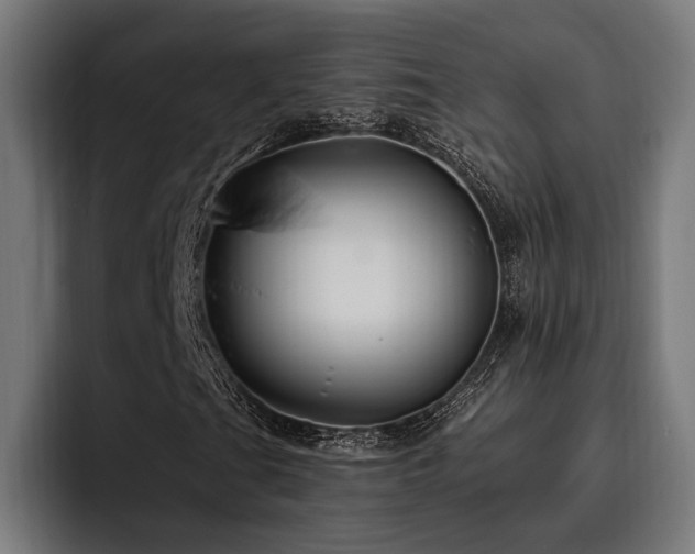 X0000093401201200710121052