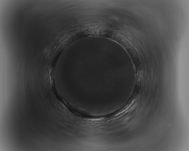 X0000093401202200710121052