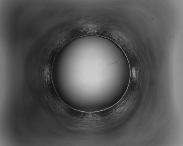 X0000093401203200710121052