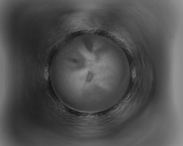 X0000093401204200710121052