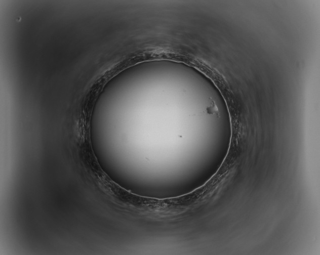 X0000093401207200710121052