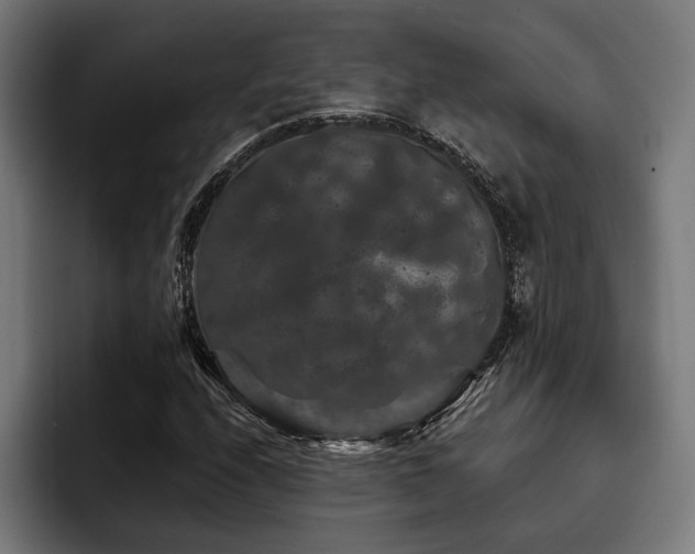 X0000093401208200710121052
