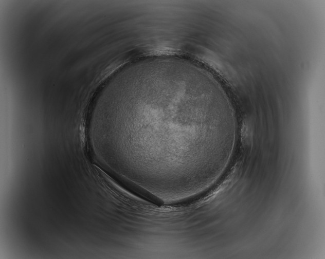 X0000093401209200710121052