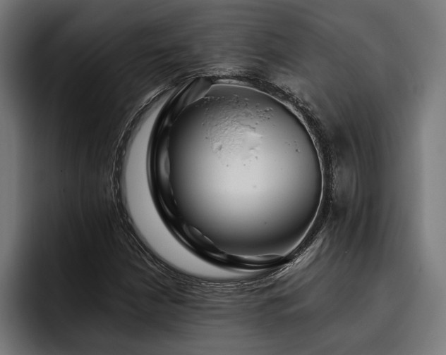 X0000093401210200710121052