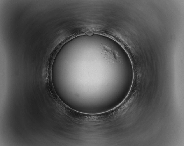 X0000093401211200710121052